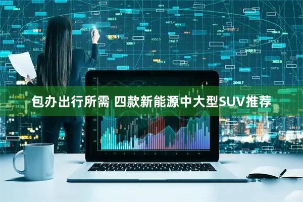 包办出行所需 四款新能源中大型SUV推荐