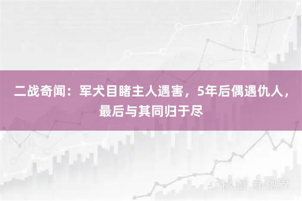 二战奇闻：军犬目睹主人遇害，5年后偶遇仇人，最后与其同归于尽